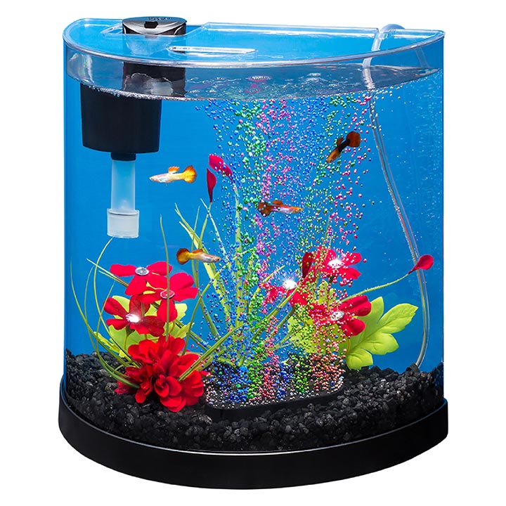 Bubbling LED Kit 3 Gallon Halfmoon Tetra